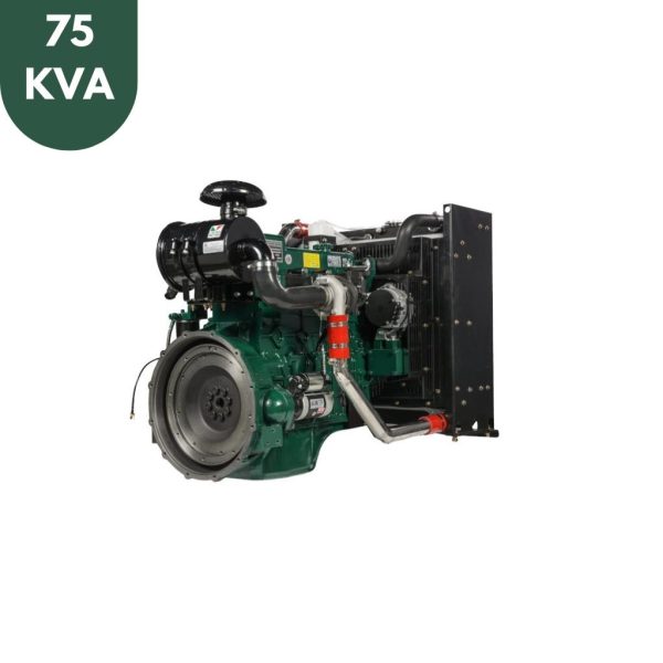 دیزل ژنراتور 75 کاوا برند lister